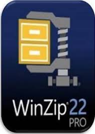 winzip pro 19.5